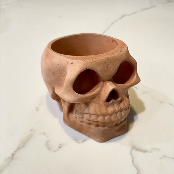 Skull Planter/Organizer - Picture 5 of 7